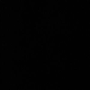 Meet your Posher, Sariya